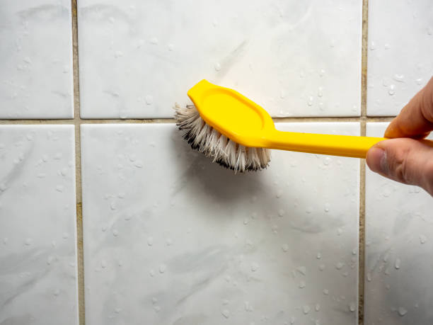 Best Mold Cleaning Services  in Vley, AL