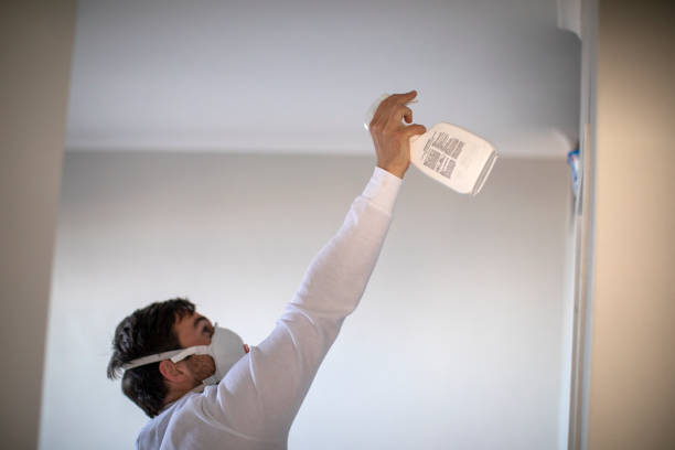Office Mold Removal Services in Valley, AL