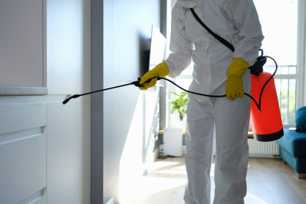 Best Attic Mold Removal  in Vley, AL